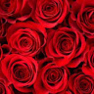 Meet your Posher, Marcel